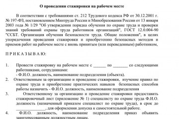 Приказ о допуске к самостоятельной работе после стажировки образец рб